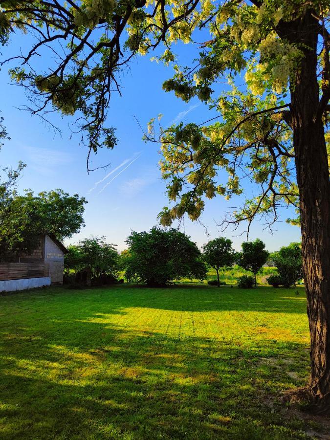 Ethno&Coffee House Tulip Bed and Breakfast Glozan Esterno foto