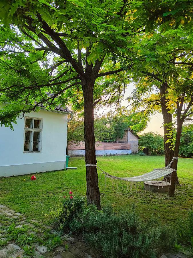 Ethno&Coffee House Tulip Bed and Breakfast Glozan Esterno foto