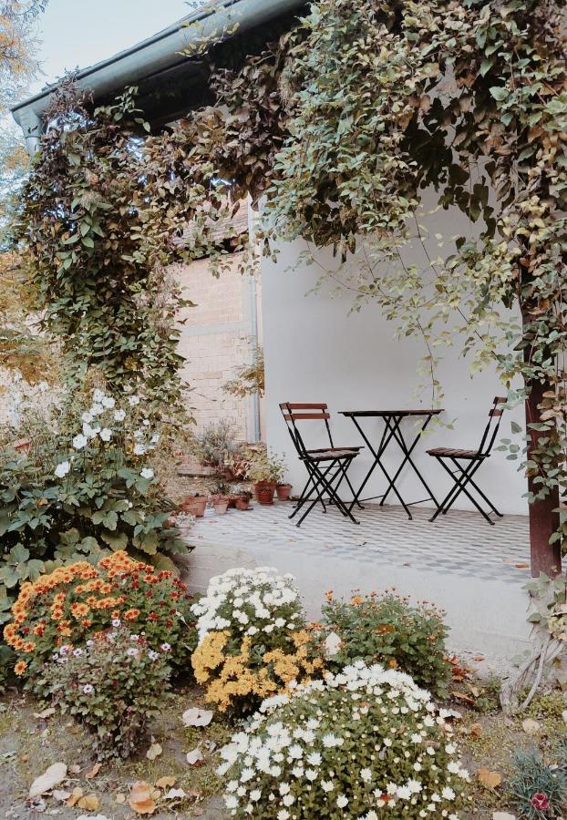 Ethno&Coffee House Tulip Bed and Breakfast Glozan Esterno foto