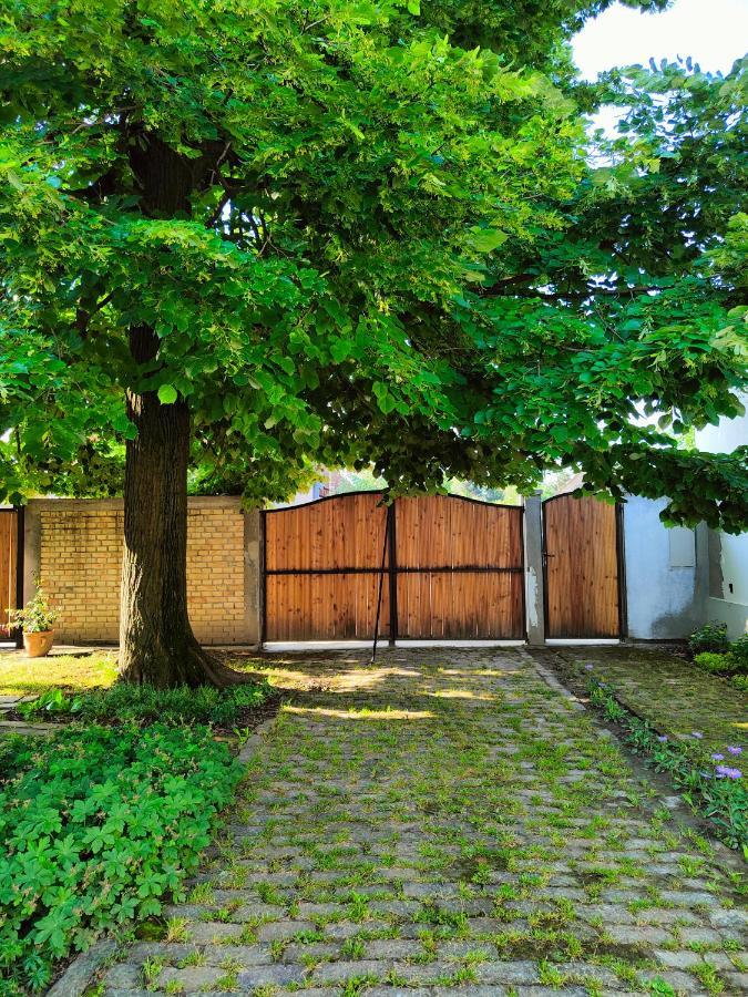 Ethno&Coffee House Tulip Bed and Breakfast Glozan Esterno foto
