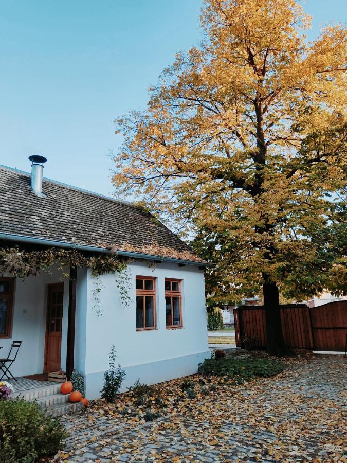 Ethno&Coffee House Tulip Bed and Breakfast Glozan Esterno foto